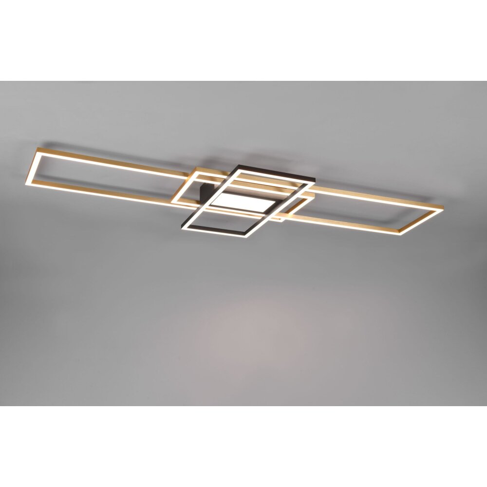 Trio Irvine Lámpara de Techo LED Latón, Negro, 1 luz, Mando a distancia main product photo
