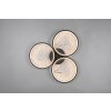 Trio Groovy Lámpara de Techo LED Negro, 1 luz