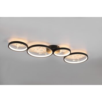 Trio Groovy Lámpara de Techo LED Negro, 1 luz