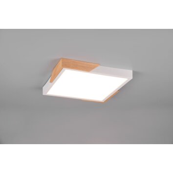 Reality Meta Lámpara de Techo LED Blanca, 1 luz