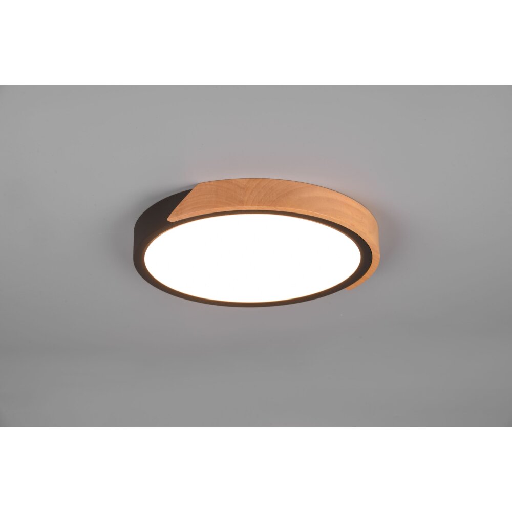 Reality Jano Lámpara de Techo LED Negro, 1 luz main product photo