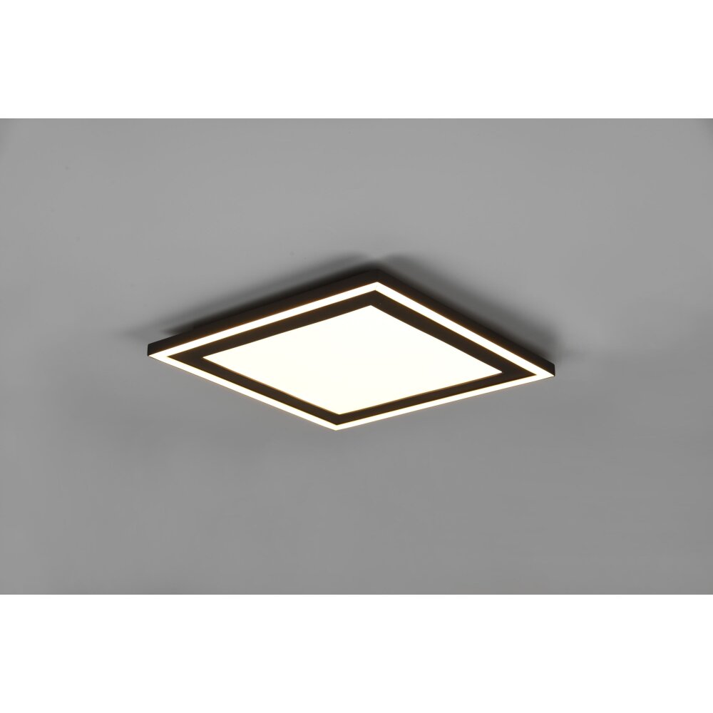 Reality Carus Lámpara de Techo LED Negro, 1 luz main product photo