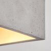 Stettler Lámpara de Techo Gris, 1 luz