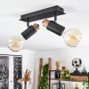 Brenier Lámpara de Techo Madera oscura, Negro, 2 luces