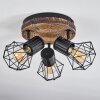 Bardhaman Lámpara de Techo Marrón, Color madera, Negro, 3 luces