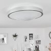 Subles Lámpara de Techo LED Plata, Blanca, 1 luz, Sensor de movimiento