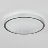 Subles Lámpara de Techo LED Plata, Blanca, 1 luz, Sensor de movimiento