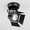 Isanay Lámpara de Techo Negro, 1 luz