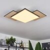 Barullu Lámpara de Techo LED Madera clara, Negro, Blanca, 1 luz