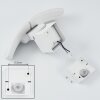 Carnetin Aplique para exterior LED Blanca, 2 luces