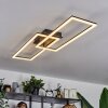 Hyacinthe Lámpara de Techo LED Negro, 1 luz, Mando a distancia