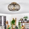 Oravi Lámpara de Techo Antiguo, dorado, 1 luz