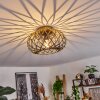 Oravi Lámpara de Techo Antiguo, dorado, 1 luz