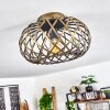Oravi Lámpara de Techo Antiguo, dorado, 1 luz