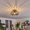 Oravi Lámpara de Techo Antiguo, dorado, 1 luz