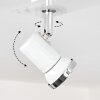 Lanrigan Lámpara de Techo LED Cromo, Blanca, 3 luces
