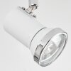 Lanrigan Lámpara de Techo LED Cromo, Blanca, 3 luces