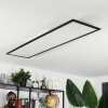 Wilderswil Lámpara de Techo LED Blanca, 1 luz