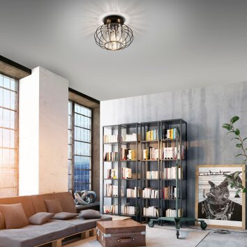 Leuchten-Direkt SCULA Lámpara de Techo Negro, 1 luz