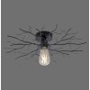 Leuchten-Direkt LIMB Lámpara de Techo Negro, 1 luz