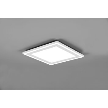Reality Carus Lámpara de Techo LED Blanca, 2 luces