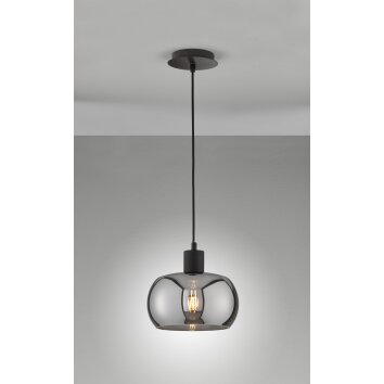 Fischer & Honsel Dima Lámpara Colgante Negro, 1 luz