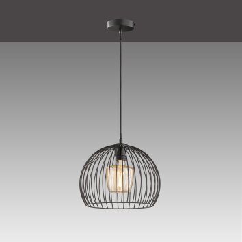 Fischer & Honsel Wire Lámpara Colgante Negro, 1 luz