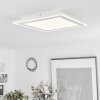 Audrieu Lámpara de Techo LED Blanca, 2 luces