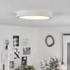 Finsrud Lámpara de Techo LED Blanca, 1 luz