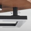 Walschbronn Lámpara de Techo LED Crudo, Negro, 1 luz