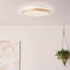 Brilliant Brodsky Lámpara de Techo LED Marrón, Blanca, 1 luz