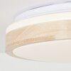 Brilliant Brodsky Lámpara de Techo LED Marrón, Blanca, 1 luz