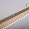 Paul Neuhaus PURE-MOTO Lámpara Colgante LED Latón, 3 luces, Mando a distancia