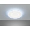 Fischer & Honsel Bolia Lámpara de Techo LED Blanca, 1 luz, Mando a distancia