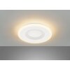 Fischer & Honsel Bolia Lámpara de Techo LED Blanca, 1 luz, Mando a distancia