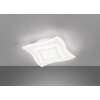 Fischer & Honsel Gorden Lámpara de Techo LED Blanca, 1 luz, Mando a distancia
