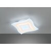 Fischer & Honsel Gorden Lámpara de Techo LED Blanca, 1 luz, Mando a distancia