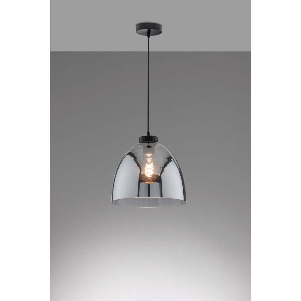 Fischer & Honsel Ren Lámpara Colgante Negro, 1 luz main product photo