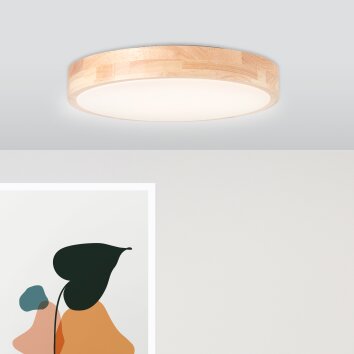 Brilliant Moreen Lámpara de Techo LED Blanca, 1 luz