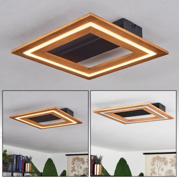 Charentay Lámpara de Techo LED Negro, 1 luz