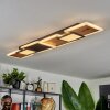 Sourbarie Lámpara de Techo LED Marrón, Color madera, Negro, 1 luz