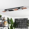 Sourbarie Lámpara de Techo LED Marrón, Color madera, Negro, 1 luz