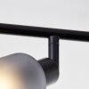 Brilliant Loralie Lámpara de Techo Negro, 4 luces