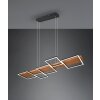 Trio Harper Lámpara Colgante LED Negro, 1 luz