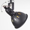 Tina Lámpara de Techo Cromo, Madera clara, Negro, 3 luces