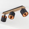 Alsen Lámpara de Techo Madera oscura, Negro, 3 luces