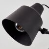 Gaudent Lámpara de Techo Negro, 5 luces