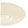 Globo SULLY Lámpara de Techo LED Blanca, 1 luz, Mando a distancia, Cambia de color