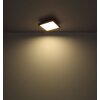 Globo CINDERELLA Lámpara de Techo LED Color madera, Blanca, 1 luz