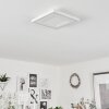 Audrieu Lámpara de Techo LED Blanca, 2 luces